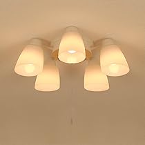 71Eo5joAy7L._AC_UL210_SR210,