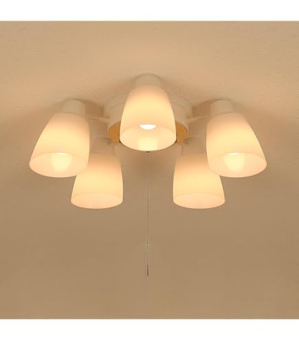 Amazon | KOIZUMI(コイズミ) LED シャンデリア 【省エネ 電球色