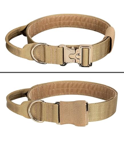 Amazon.co.jp: Collar Malice 岡崎契 オトメイト カラーマリス