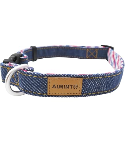 Amazon.co.jp: DVDTHE ALFEE 2002年 首輪物語Ⅰ,Ⅱ 2枚セット