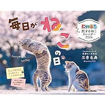 Amazon.co.jp: にゃっぷる 保護ねこカレンダー2026 卓上版「幸せつない
