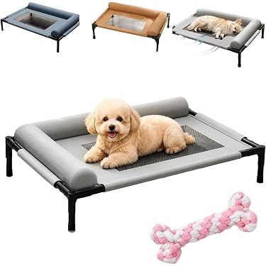 Amazon.co.jp 最新リリース: 犬用ベッド・クッション の新着ランキング