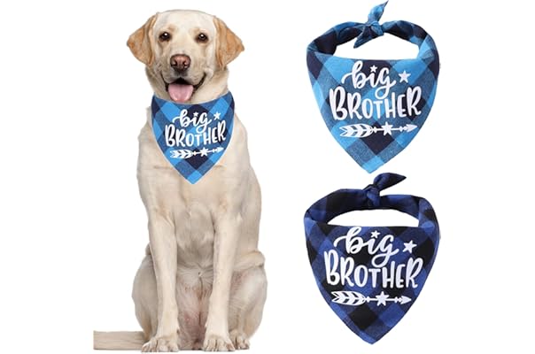adjustable dog bandana