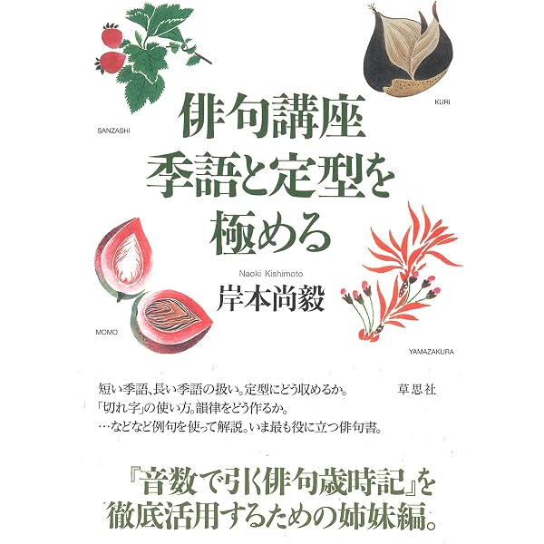 Amazon.co.jp: 岸本尚毅: ベスト100 (シリーズ自句自解 1) : 岸本 尚毅: 本
