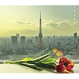 花鳥風月(DVD付)