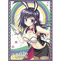 特価 即日発送 アナカラーインターステラ 月ノ美兎 二重スリーブ 71F6pQZ7lTS._AC_UL210_SR210,