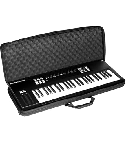 Amazon | トンボアコーディオンソフトケース NB34 | アコーディオン