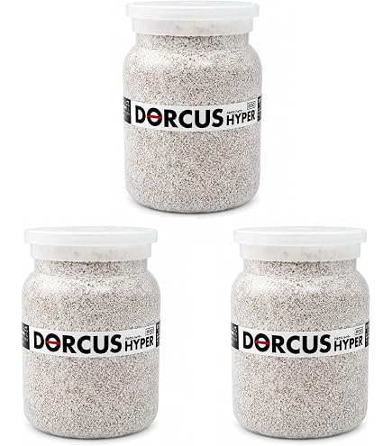 Amazon.co.jp: 【3個セット】菌糸ビン オオヒラ茸菌 1400cc クワガタ