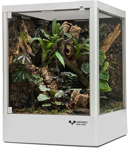 Amazon.co.jp: エキゾテラ GEX EXOTERRA グラステラリウム 4560 PT2607 