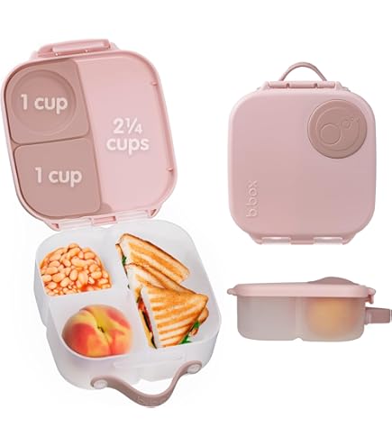 Amazon.co.jp: ソリッドワークス コレクションDX lunch box(ランチ