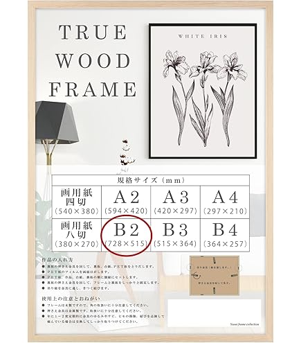 Amazon.co.jp: Love Songs アイドルがクラスメ〜ト B2 サイズ ポスター