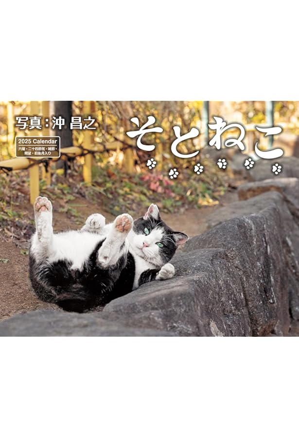Amazon.co.jp: 2025必死すぎるネコカレンダー ([カレンダー]) : 沖