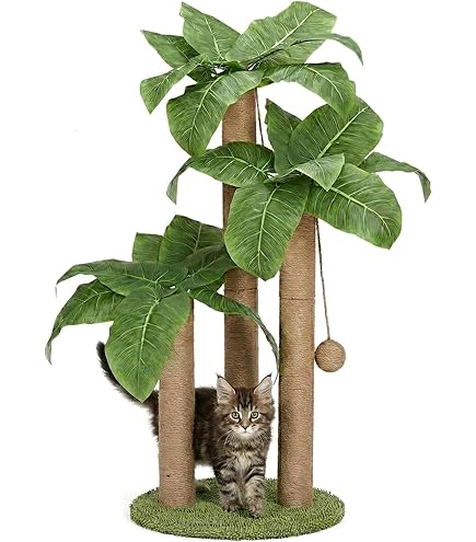 Amazon.co.jp: ペットアイ 爪とぎタワー サボテン フラワー 57×57×高さ