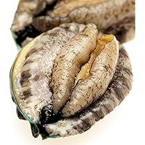 71FLv7HfTWL._AC_UL210_SR210,