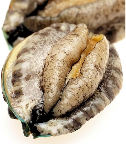 Amazon.co.jp: 築地魚群 つぶ貝（開き）500g : 食品・飲料・お酒