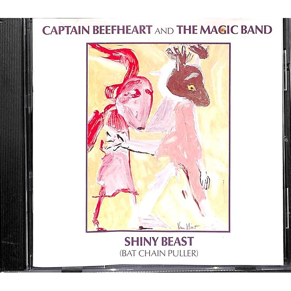 Amazon.co.jp: 美は乱調にあり(ドック・アット・ザ・レイダー