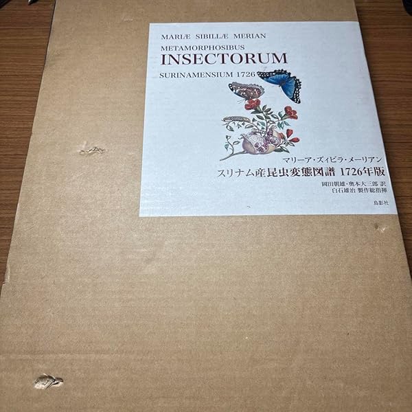 スリナム産昆虫変態図譜1726年版 | マリーア・ズィビラ
