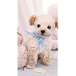 犬 iPhone SE第2~3世代 8~6 壁紙 視差効果 もこもこパピィ 犬 iPhone SE第2~3世代 8~6 壁紙 視差効果 もこもこパピィ