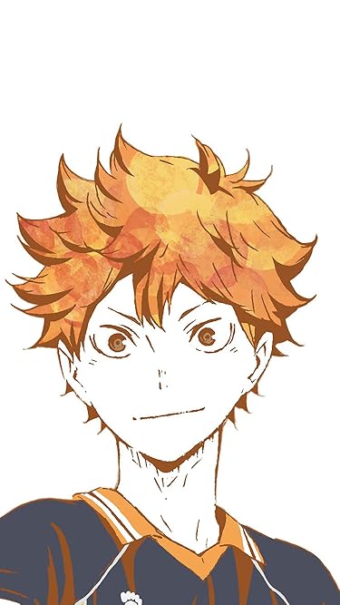 2020年冬アニメ - 日向翔陽