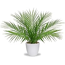 IKEA フェイカ アレカヤシ 観葉植物 フェイクグリーン 美品 FEJKA フェイカ 人工観葉植物, 室内/屋外用 アレカヤシ, 19 cm