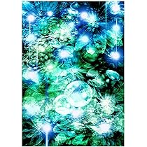 Amazon.co.jp: (ヒーリングアート TSUKASA) 開運グッズ 風水