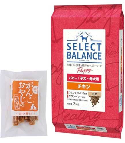 ベッツチョイス セレクトバランス パピー チキン ドッグフード