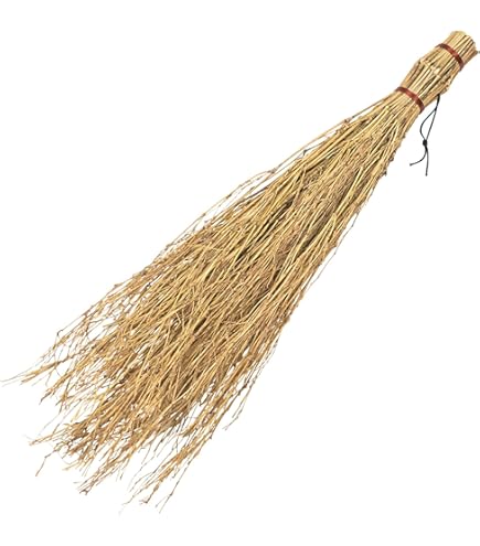 Amazon.co.jp: カインズ(CAINZ) プロ仕様 手ぼうき 幅15cm 全長65cm