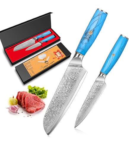 Amazon｜包丁 キッチンシェフナイフ4個セット、ダマスカス鋼ブッチャー