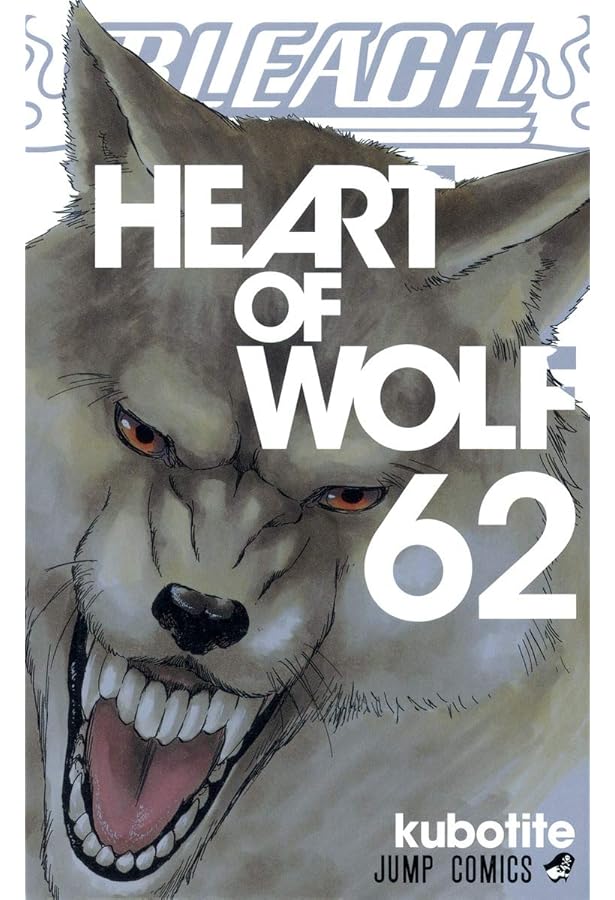 ブリーチ1〜63巻 91z0QD-fw3L.jpg