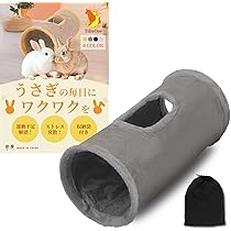 Amazon.co.jp: 【毎日がワクワク！部屋んぽタイム】TiDaOne