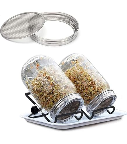 itto☹ 発芽美人 HP-70 ピンク itto☹ 発芽美人 HP-70 ピンク itto☹様