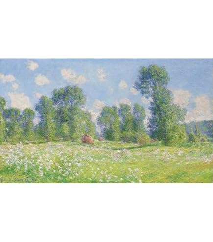★ ❣️送料無料❣️MONET ポスター Amazon.co.jp: 絵画風 壁紙ポスター（はがせるシール式）【フル