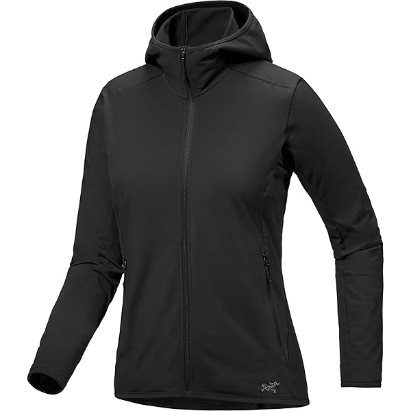アークテリクス ロージップネック ウィメンズ XS Amazon.co.jp: [ARC'TERYX] アークテリクス Rho Zip Neck