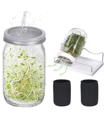 栽培キット 水耕栽培キット 家庭用 家庭菜園 水耕栽培 セット 室内 屋内 野菜