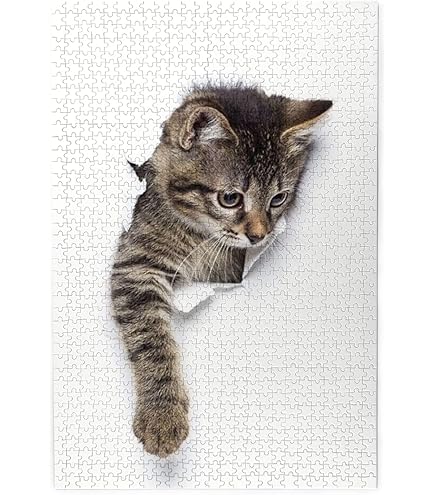 71FiBzPQqlL._AC_UL495_SR435,