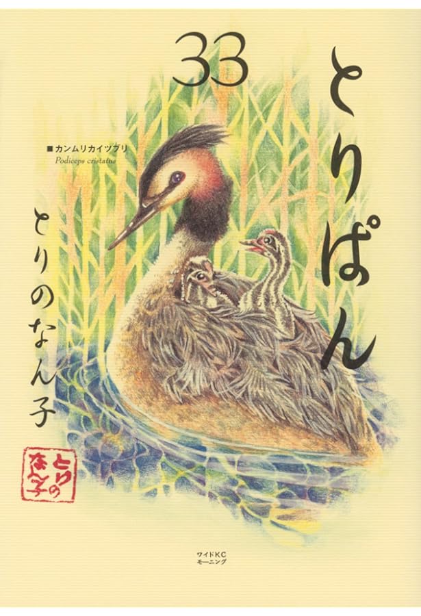 とりぱん(25) (ワイドKCモーニング) | とりの なん子 |本 | 通販 | Amazon