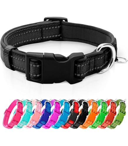 Amazon | コーチ 犬の首輪 COACH アウトレット シグネチャー ペット