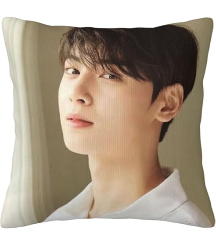 60✕40　チャウヌ枕カバー22番　ASTRO 60✕40 チャウヌ枕カバー22番 ASTRO