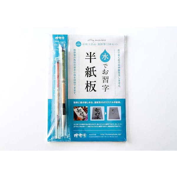 Amazon.co.jp: 手本蘭亭序―神龍半印本で学ぶ : 松本 文子: 本