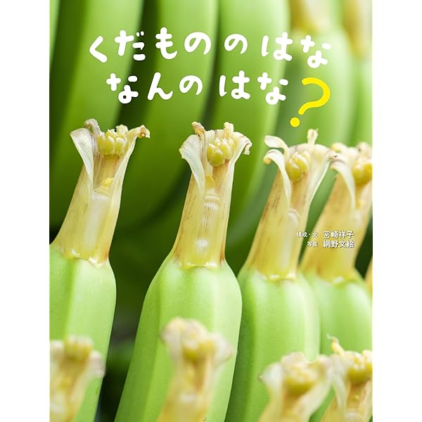 まどのむこうの やさいは なあに？ (こどものとも年中向き2022年