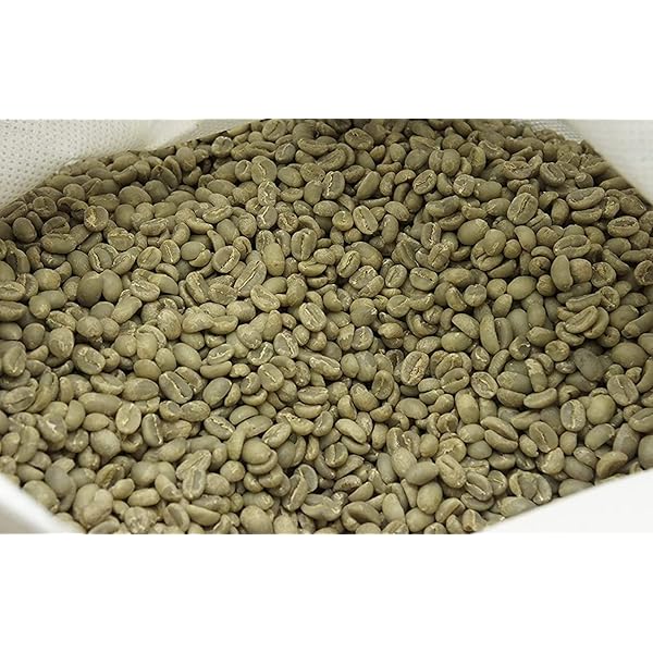 Amazon | コーヒー生豆 1kg【エチオピア モカ グジ地区