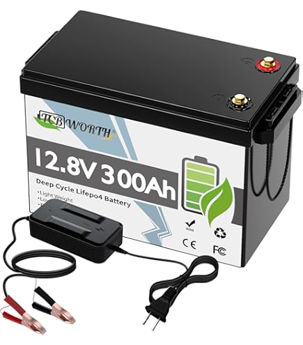 Amazon.co.jp: LiFePO4 バッテリー 12V 300AH リン酸鉄リチウム電池