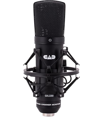 Amazon | CAD Audio Equitek e300 マルチパターンコンデンサーマイク