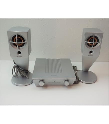 Amazon.co.jp: SONY Active Speaker System 