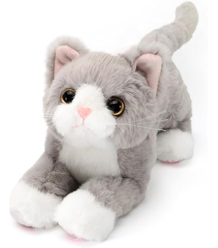 Amazon.co.jp: [AiO JAPAN] インテリア クッションで寝る猫 白黒 ネコ