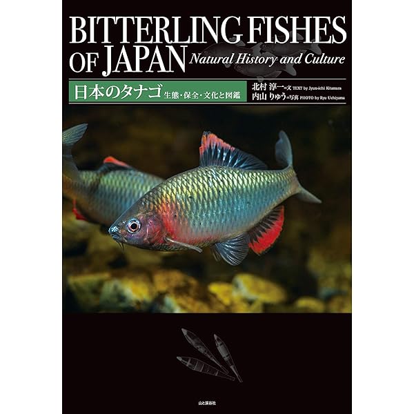 日本のタナゴ 生態 保全 文化と図鑑 北村 淳一 内山 りゅう 妊娠 出産 子育て Kindleストア Amazon