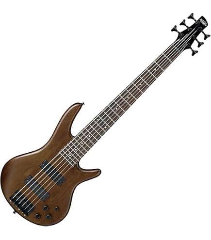 Amazon | Ibanez SR6AH SUF 6弦ベース エレキベース 島村楽器限定
