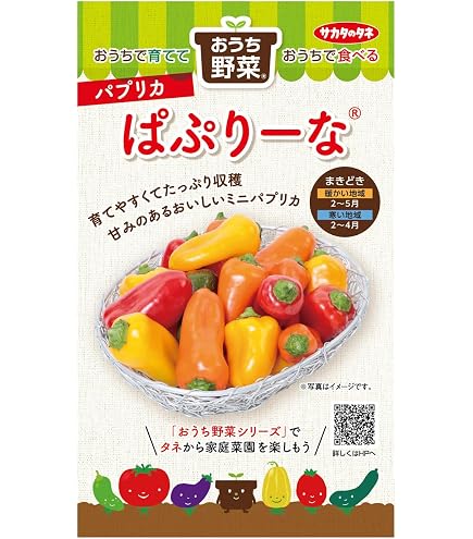 Amazon.co.jp: 植物種子 超巨大黄金パプリカ 種 3粒 : DIY・工具・ガーデン