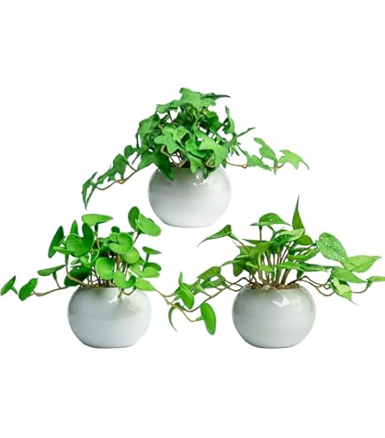 Amazon｜IKEA/イケア FEJKA/フェイカ：人工観葉植物 鉢カバー付き12 cm