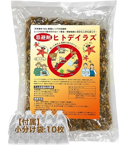 冷凍ヒトデ 61p+Q2b1LJL._AC_SY200_QL15_.jpg